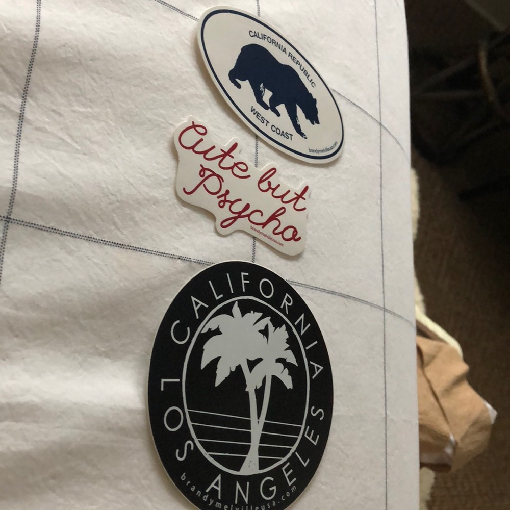 Authentic Brandy Melville Stickers